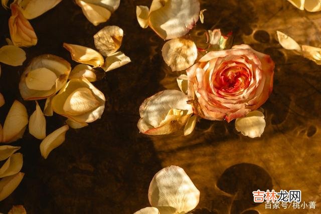 人这一生 爱而不得时，请学会自爱，因为自爱才是通向幸福的捷径