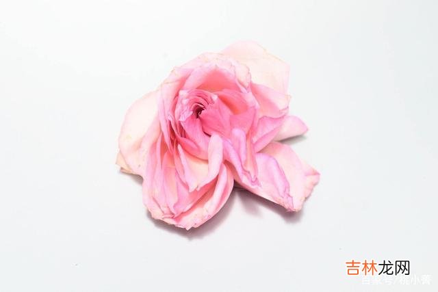 爱是这世间最美好 冷静过后你就会发现，如此冷落你的人，真的很爱你