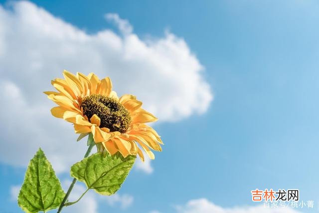 爱一个人 明知他不爱你，就算了吧，试着把爱藏在心里，对你对他都是好事