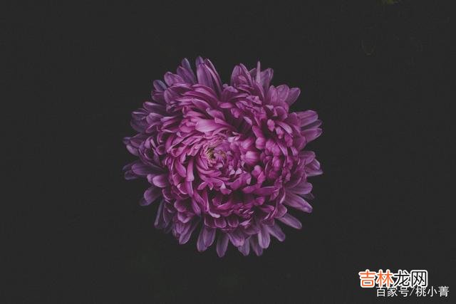 当你爱的人被你的思念传染后,他所带给你的,就是无尽的甜蜜