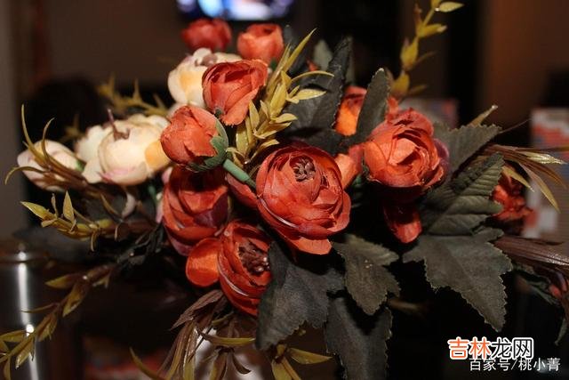 对男人来说 只有你的征服，才会让他甘愿放弃一切