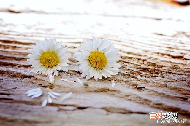 我爱你 各自过好各自的生活，爱你想你，但我不会再去打扰你