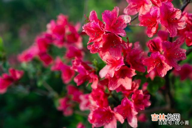 Chapter01人们对爱的期盼都是美好的 这样的情况下,对方不主动联系你,不是不爱,而是爱得太深