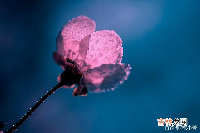 Chapter01人们对爱的期盼都是美好的 这样的情况下,对方不主动联系你,不是不爱,而是爱得太深