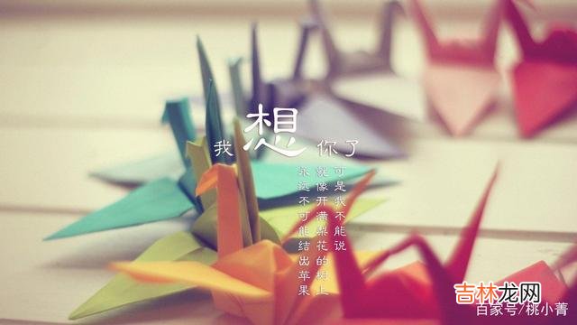 什么是真正的爱？什么是真正的灵魂伴侣？林徽因是这样描述灵魂伴侣的：“你是...|经历过不顺心的感情，才会更珍惜灵魂伴侣的陪伴