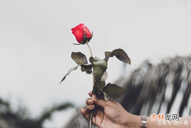 我们每个人都在追寻这世间唯一的真爱 爱虽然比喜欢深一点，但归根结底还是等同于喜欢