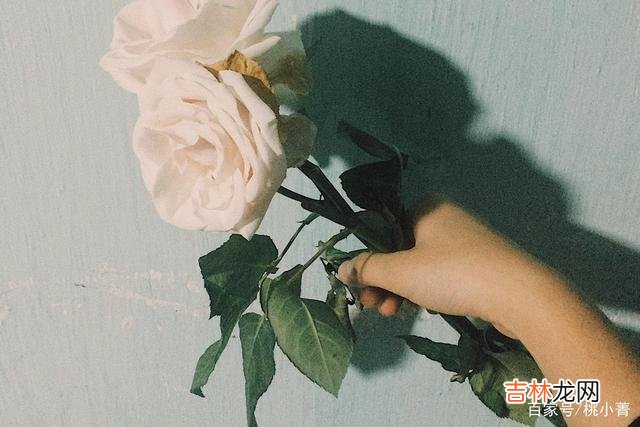 有多少人 没人关爱没关系，只要你懂得爱自己，就永远也不会被击垮