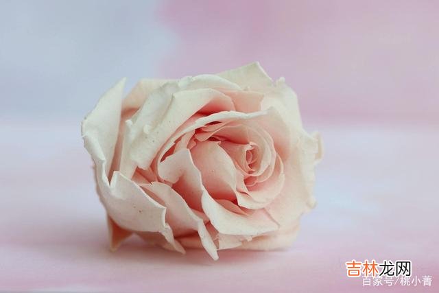当女人喜欢上一个人后 相处时，女人有这些肢体表现，是在暗示她喜欢你