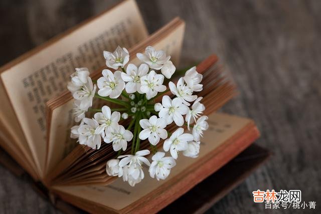 希望女人能够明白，男人假爱你的表现，是低成本付出