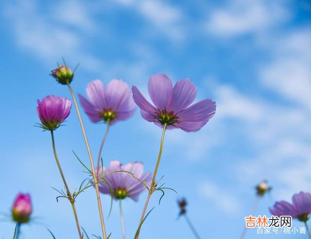 我们每个人 人海茫茫，过客匆匆，一切早有定数，执着已无意义