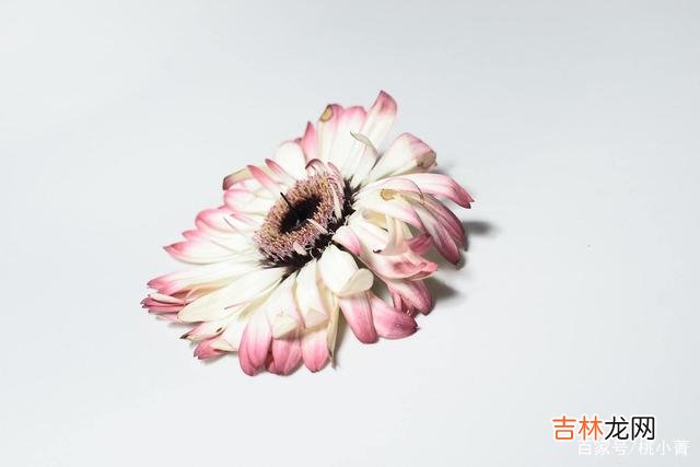 面对男人的冷落 面对男人的冷落，讨好没用，这样做才是上策
