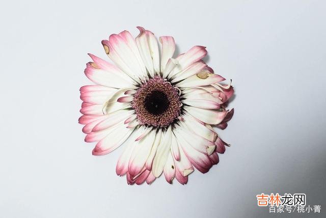 面对男人的冷落 面对男人的冷落，讨好没用，这样做才是上策
