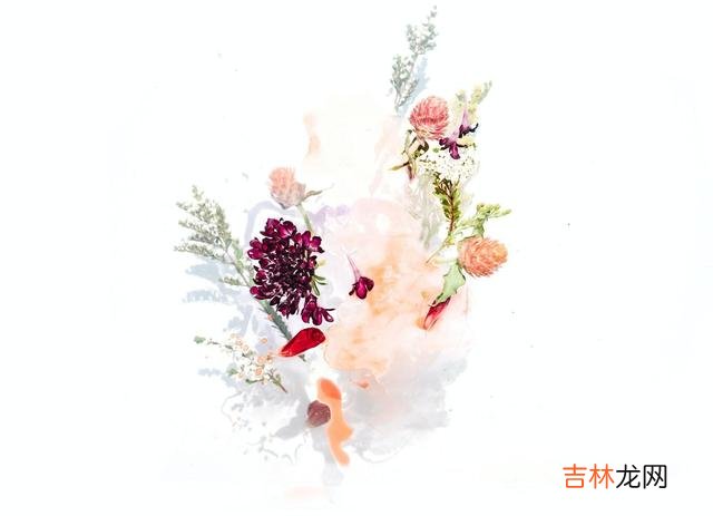 面对男人的冷落 面对男人的冷落，讨好没用，这样做才是上策