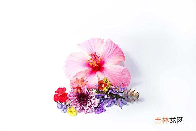面对男人的冷落 面对男人的冷落，讨好没用，这样做才是上策