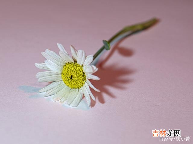 刚开始踏上追爱旅程时 你要记住，真正属于你的灵魂伴侣，是会和你产生共鸣的