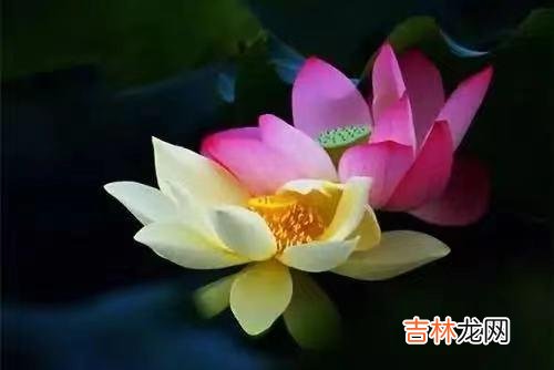 hapter01我们行走在世上 让那些让你不舒服的人,远离你,退出你的生活