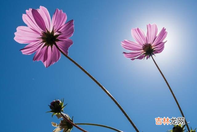 张爱玲曾写道：”人到中年的男人 没钱的时候，累的不仅是身体，更是那颗心