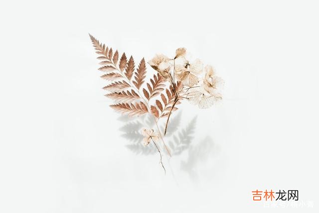 感情的萌芽 你早该明白,男人不联系你时,哭闹没用,对症下药才是上策