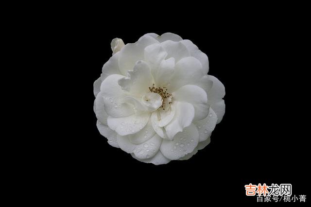 到了一定的年纪 不论你有多么渴望爱情的到来，你都不能盲目去爱