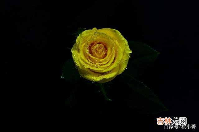 到了一定的年纪 不论你有多么渴望爱情的到来，你都不能盲目去爱