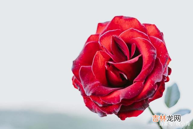 试着做一个“坏”女人,或许会有不小的收获