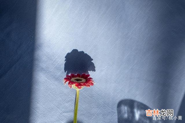 成长 无论和谁在一起，都别丢掉你的独立、自信和脾气