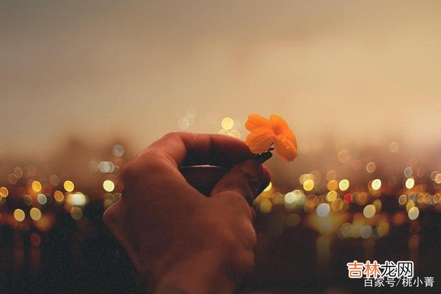 宫崎骏曾经说过:“遇见的都是天意 有些人,有些事,遇见过就好,无需去追逐,更不必去等待