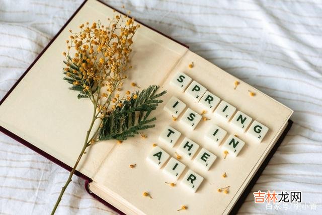 感情是需要冲动的 对你动了情的女人，会产生一种强烈的保护欲