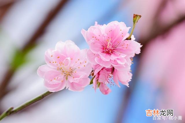 -01-曾经在一本书上看到过这样一句话：“中年男人的身体已经不再年轻 其实，中年男人的桃花运，是靠自己“折腾”出来的