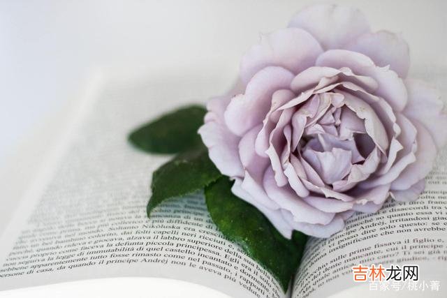 一个人社会关系的层次 高层次的女人，时刻都在自己的人生做减法，所以才越活越高级