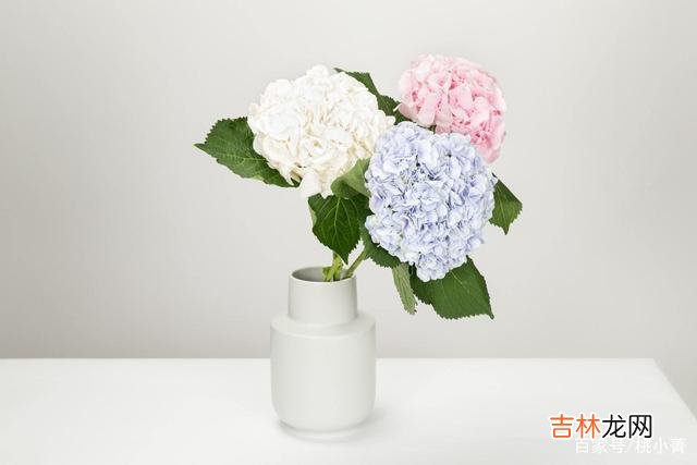 前不久收到一位读者的来信 不要再去质疑女人的心思了，你要知道，越爱你的女人，越不会管你
