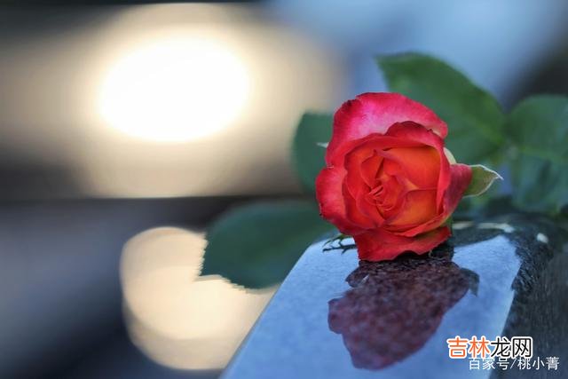世界就像是一个巨大的马戏团 因为有过心酸，我才真正明白爱是何物