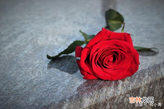 世界就像是一个巨大的马戏团 因为有过心酸，我才真正明白爱是何物
