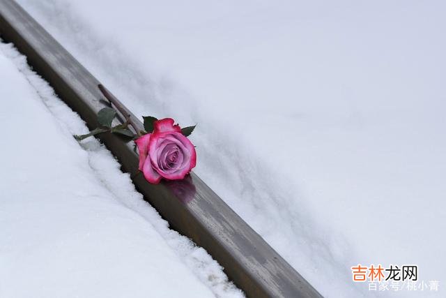 感情的世界 事实上，总在深夜联系你的男人，并没有那么真诚，别误解