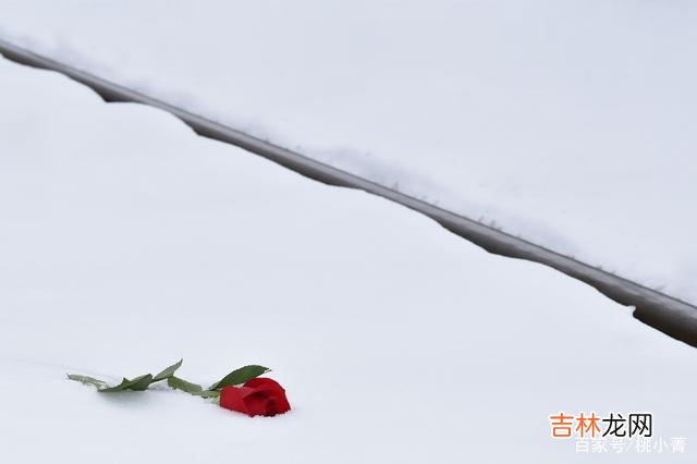感情的世界 事实上，总在深夜联系你的男人，并没有那么真诚，别误解