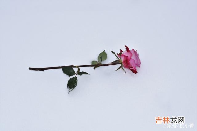 感情的世界 事实上，总在深夜联系你的男人，并没有那么真诚，别误解