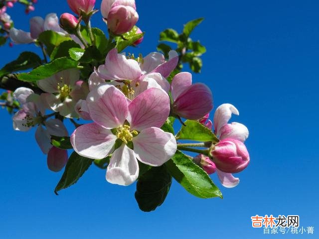 有些遗憾,一旦错失机会,就再也弥补不了了