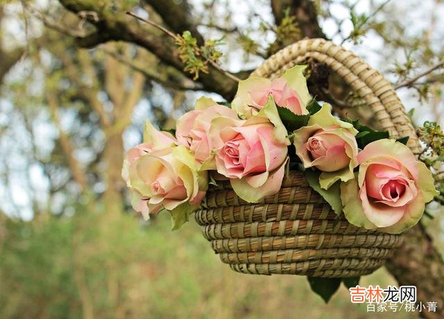 人这一辈子 放下过去，好好经营自己的生活，才是对未来最好的展望