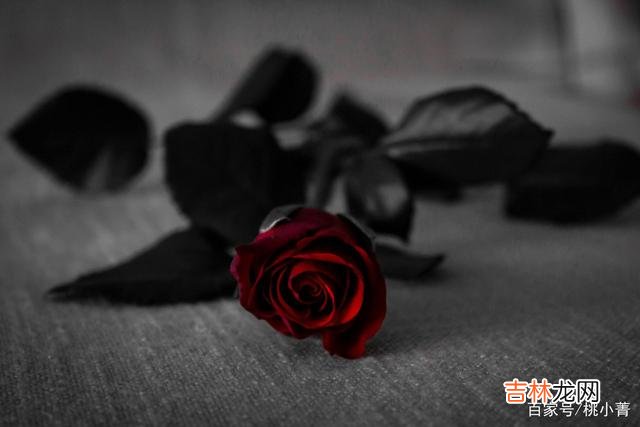 见不到的人,还是放下吧,早一点放下,你的人生才会更加美好