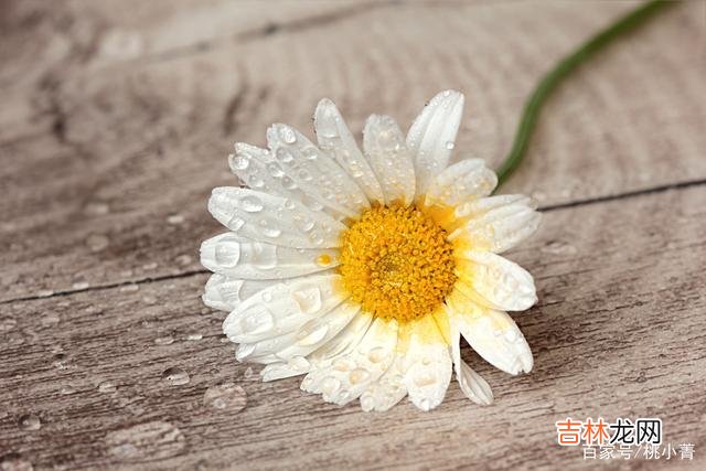 光阴似箭 余生，请让自己慢下来，走得慢一点，方能更扎实