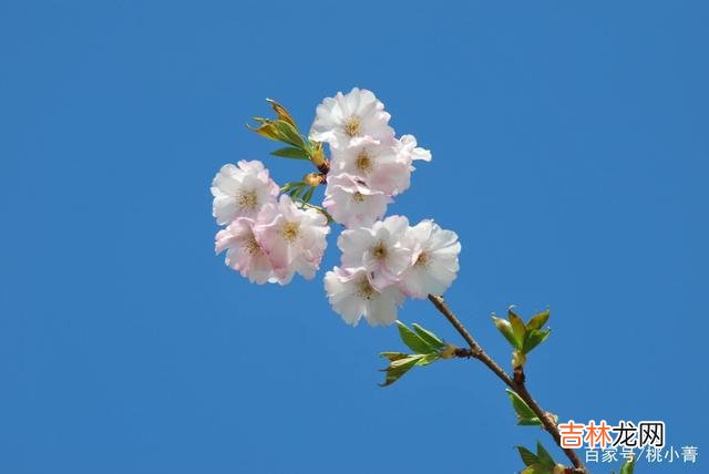 男女之间的感情 就算男人已经认定了，女人也不一定能在第一时间知晓