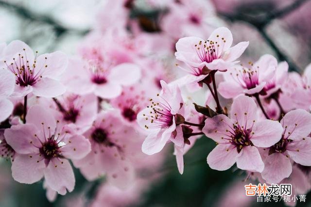 爱情 我很爱你,但我不会去见你;我很爱你,但那只是曾经