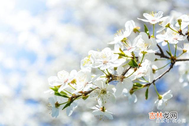 爱情 我很爱你,但我不会去见你;我很爱你,但那只是曾经