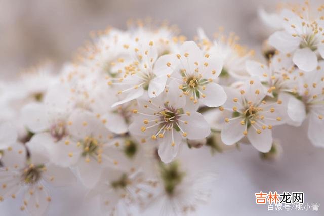 爱情 我很爱你,但我不会去见你;我很爱你,但那只是曾经