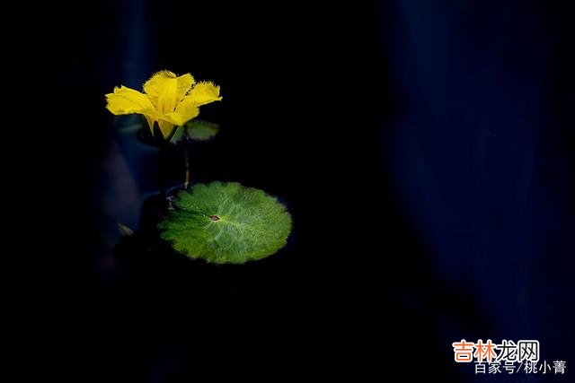 佛法言:“世事无常 其实,爱情都是有因果的,不想自食恶果,就别辜负爱情