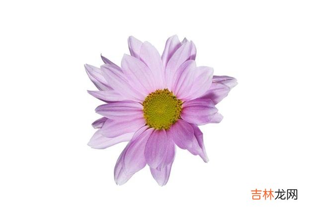 男女之间的感情 当你发现男人频繁对你说“三个字”时，你就可以放弃了