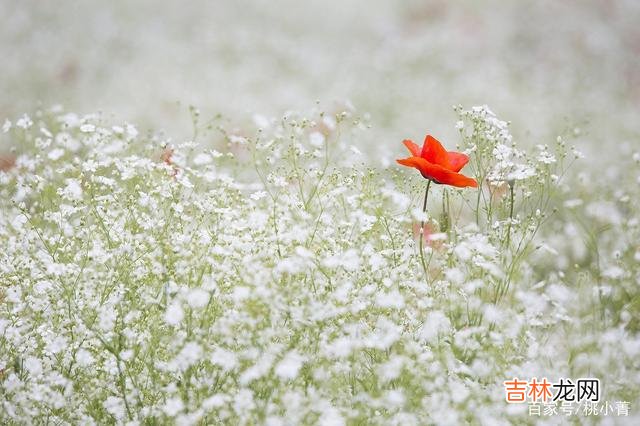 一个人的深情，注定只是一场无法实现的梦，别再继续沉沦了