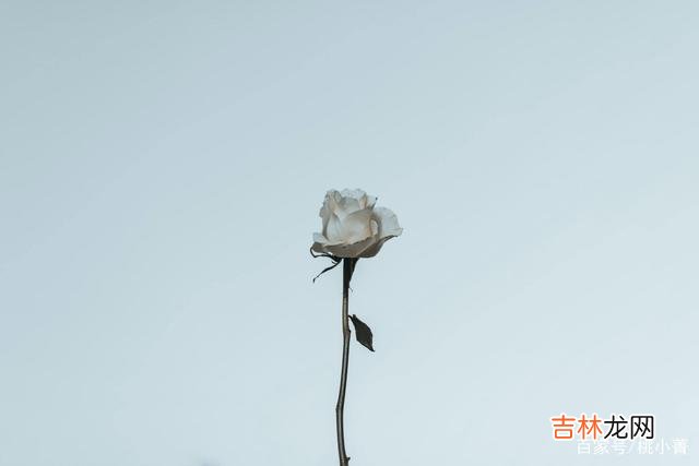 你终会明白，离开你的人，不会再回来，等再久也没用