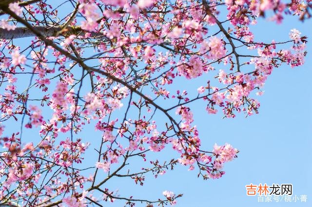 感动是心动吗？虽然只是一字之差 有些举动，只能感动自己，并不能打动男人，女人别不懂
