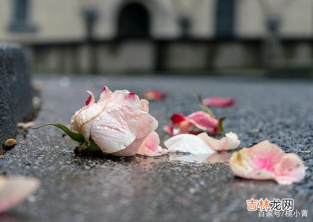 这世间所有的一切 人来人去，随缘就好，你要相信，是你的，谁也抢不走